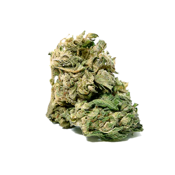 Photo of Stemcell CBG Hemp Flower - The Green Nursery Organics