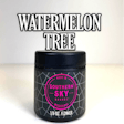 Product image for Watermelon Tree (27.5% THC)