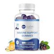 Product image for Immune Support Gummies