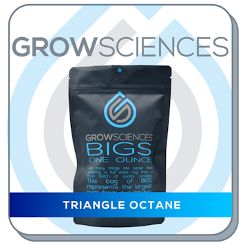 Photo of Triangle Octane Bigs
