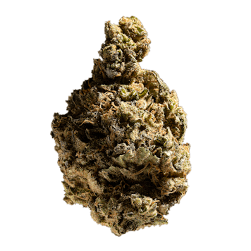 Photo of CBD Charlotte's Angel