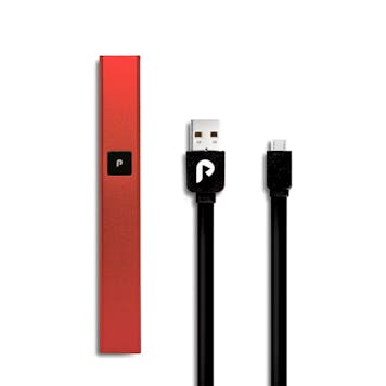 Photo of PLUGPLAY™ | PLAY™ Battery | California, Colorado, & New York | Steel | Red Battery