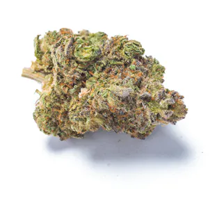 Photo of Million Dollar Baby