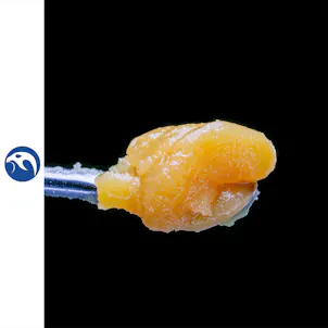 Photo of Candy Queen Wax 1g
