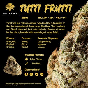 Photo of Tutti Frutti