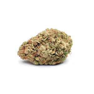 Photo of Velvet Voyager