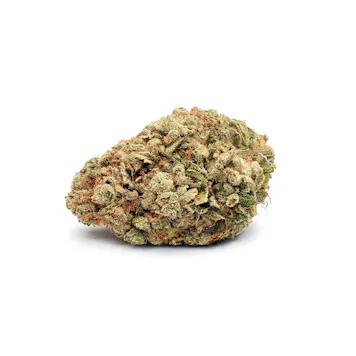 Photo of Velvet Voyager