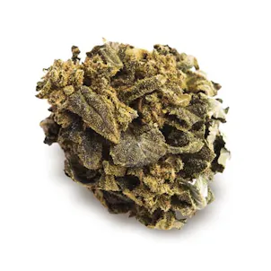 Photo of Jack O'Lantern Feminized