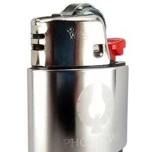 Photo of Phoenician x Kasher