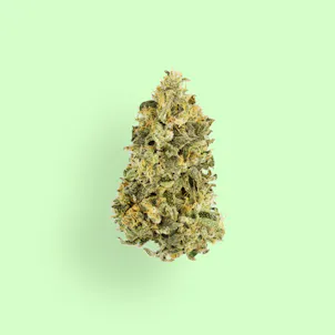 Photo of Wonder Qwest a.k.a Sour Diesel