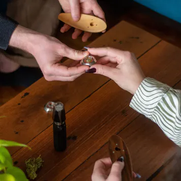 Photo of The Terp Surfer Pipe