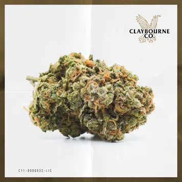 Photo of XJ-13 (1g)