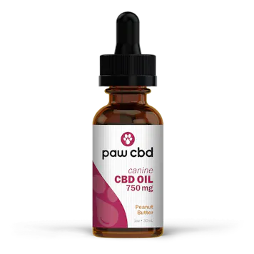 Photo of CBD Oil Tinctures for Dogs- Peanut Butter Flavor