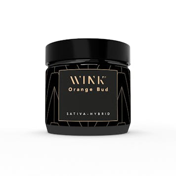 Photo of WINK Orange Bud