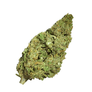 Product image for NY CBD Diesel Strain | CBD Hemp Flower