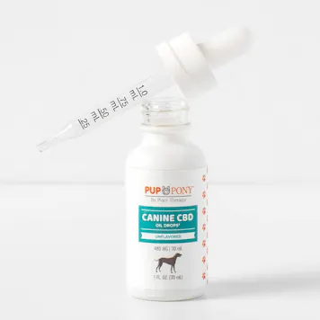 Photo of Canine CBD Oil Drops 480 mg Unflavored BS