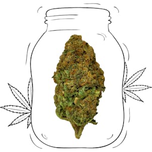 Photo of Bubba Kush CBD