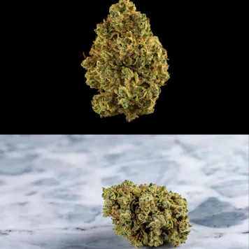 Photo of Cannabis Flower Studio Photography