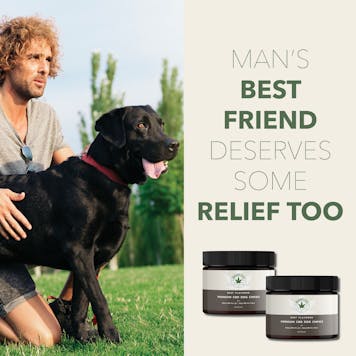 Photo of CBD Dog Treats