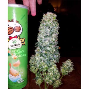 Photo of GSC (f.k.a. Girl Scout Cookies)