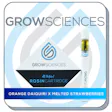 Product image for Orange Daiquiri x Melted Strawberries Live Hash Rosin Cartridge (.5g)