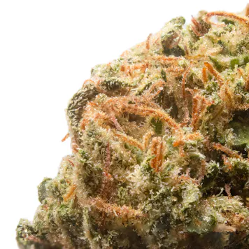 Photo of Blood Orange 3.54g