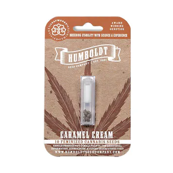Photo of Caramel Cream Feminized Seeds - 10-pack