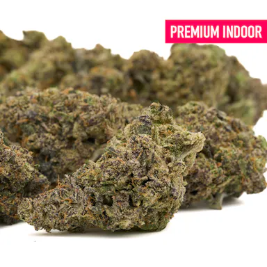 Hash Burger Indoor THCa Flower Wholesale
