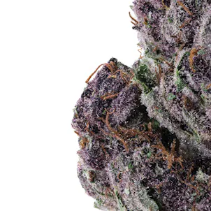 Photo of Granddaddy Purple High THCa Hemp Flower