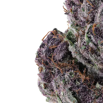 Photo of Granddaddy Purple High THCa Hemp Flower