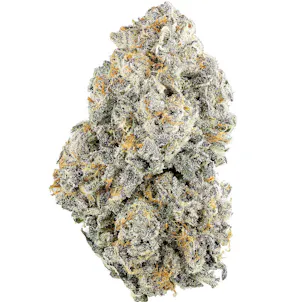 Photo of Citral Flo