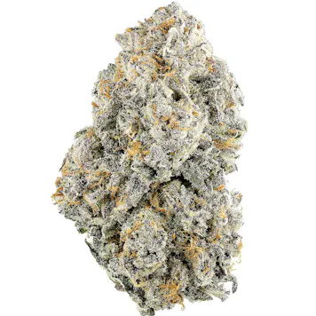 Photo of Citral Flo