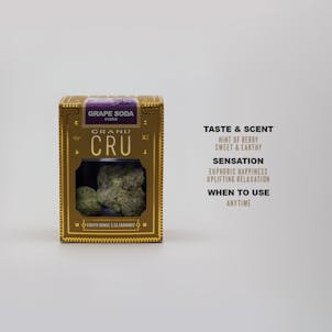 Photo of Grape Soda GRAND CRU 3.5G Hybrid Flower