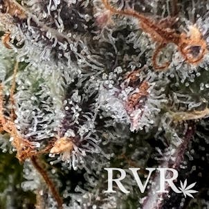 Photo of Exotic Chambers