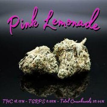 Photo of PhD - Pink Lemonade Flower - 18.17% THC
