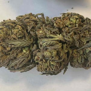 Photo of Elektra Hemp Flower