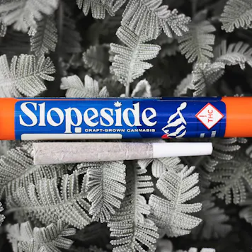 Photo of Slopeside 1g All Flower PreRoll - Purple Lights