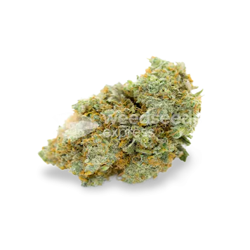 Photo of Bubblegum Regular Seeds