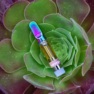 Photo of CBD Vape Cartridge: Harlequin