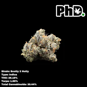 Photo of PhD Indoor Flower - Scotty 2 Hotty