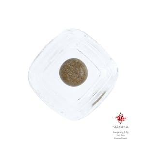 Photo of Bangarang 1.2g Red Pressed Hash (Whitethorn Valley Farm)