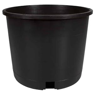 Photo of Trade Squat Nursery Pot
