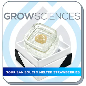 Photo of Sour San Souci x Melted Strawberries Live Hash Rosin Badder (1g)