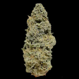 Photo of Jager OG