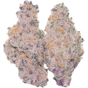 Photo of Candyland X