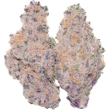 Photo of Candyland X