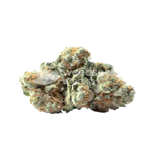 Photo of LSD Feminized Seeds