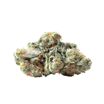 Photo of LSD Feminized Seeds