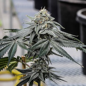 Photo of Private Party