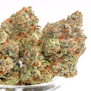 Photo of Pooty Tang Flower